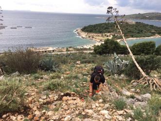 15494116_1149326608520407_1650798237_n