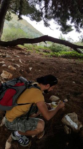 15571313_1149326585187076_995939256_n